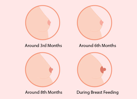 Pregnancy causes breast growth. That is to meet the coming baby’s requirements