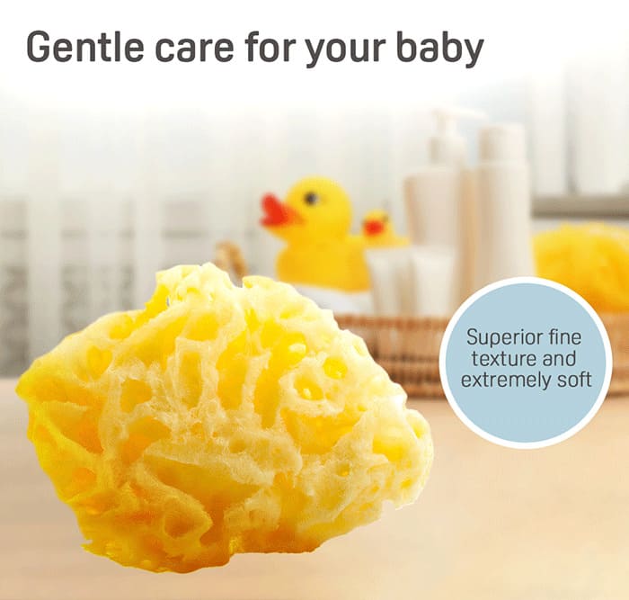 Pigeon Baby 100% Natural Sponge for bath - The Best From Europe and Japan