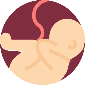 Pregnancy Icon